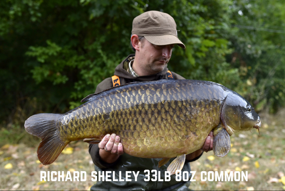 Richard Shelley 33lb 8oz Common Carp
