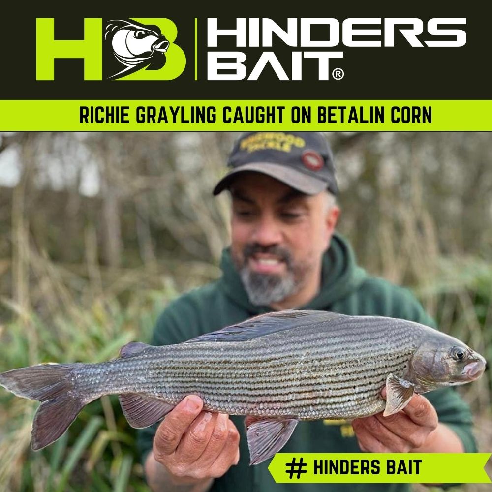 Unbelievable! I Caught a Massive Grayling After Months of No Fishing!