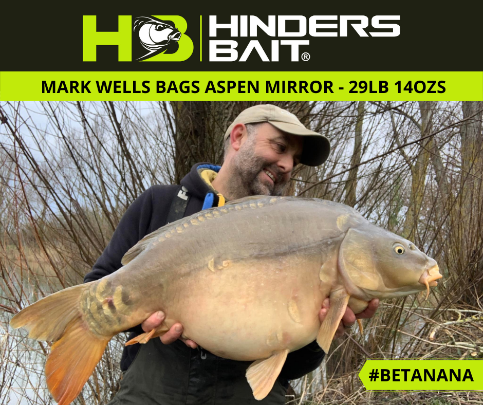 Mark finally got back amongst the Carp at Aspen Lake