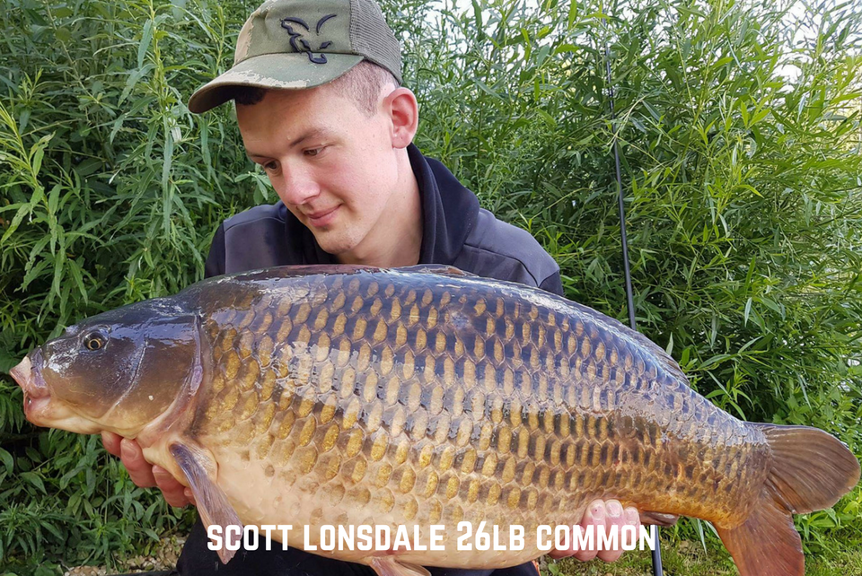 Scott Lonsdale 26lb Common