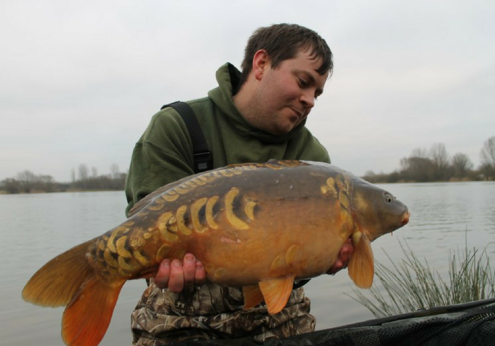 Scott Rivers B1 Carp