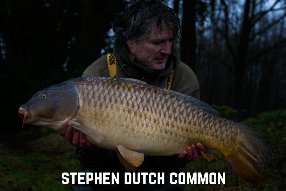Stephen Dutch Common
