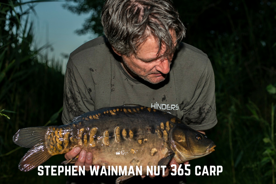 Stephen Wainman Nut 365 Carp