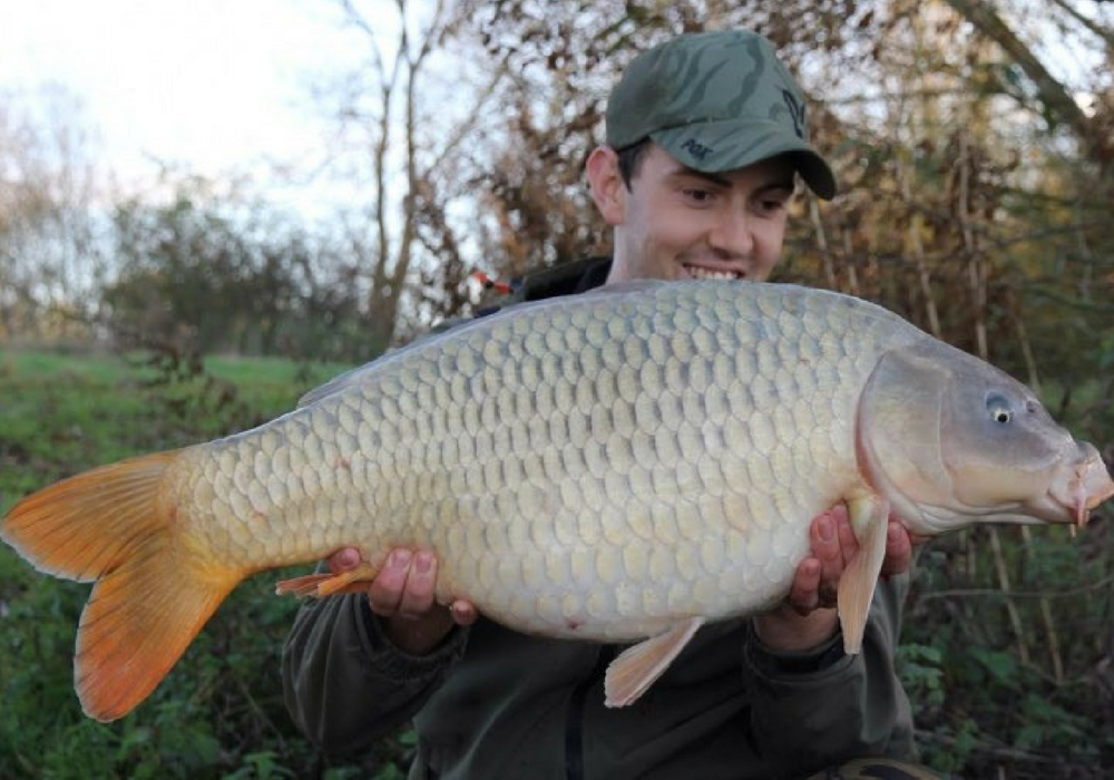 Tom Maker Tutorial Sucess