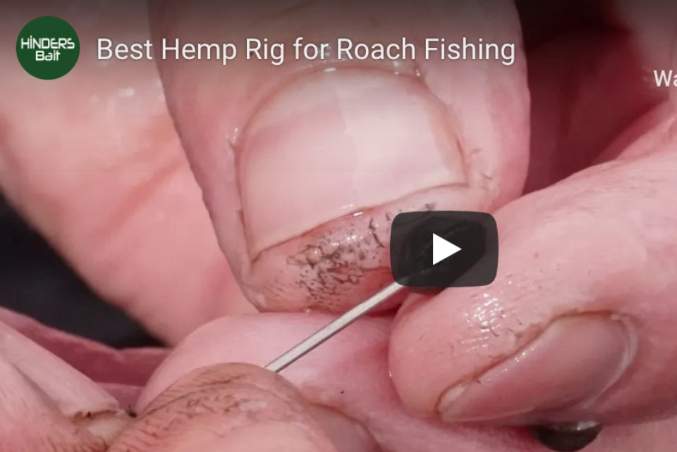 Hemp Fishing for Roach Top Tips