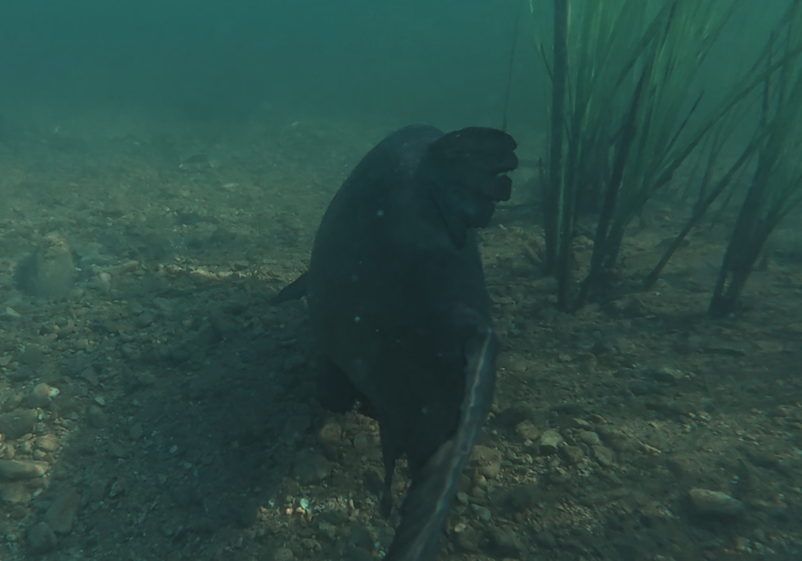 My Return To Netherwood Lakes