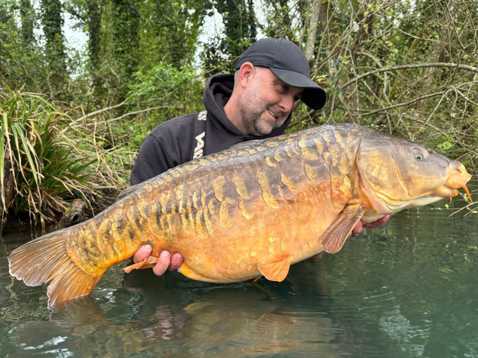 Betalin = Bramble Mere success