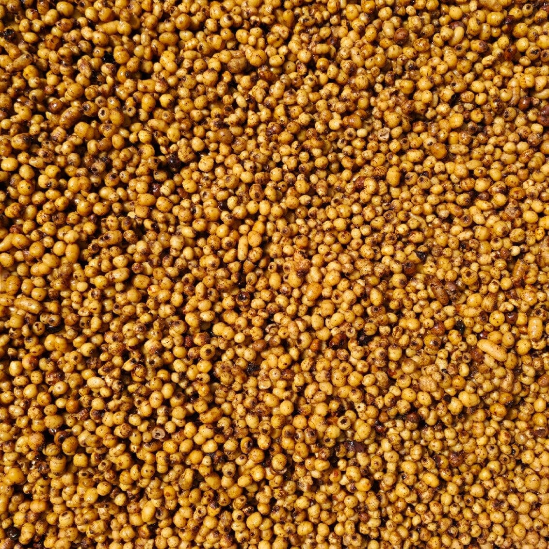 Hinders Prepared Standard Tiger Nuts 4kg (Frozen)