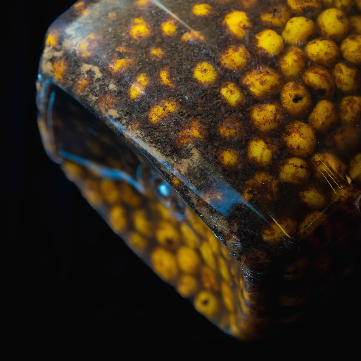 Hinders Prepared Particle Jars 3.5 Litre