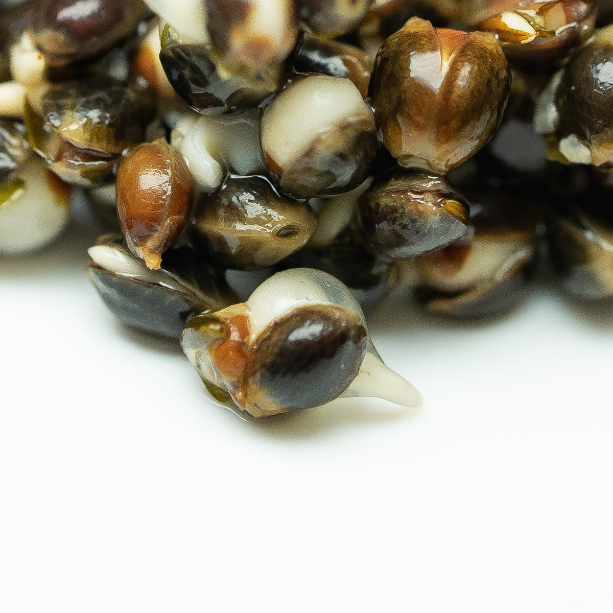 Hinders Chinese Hemp (Medium Grain)