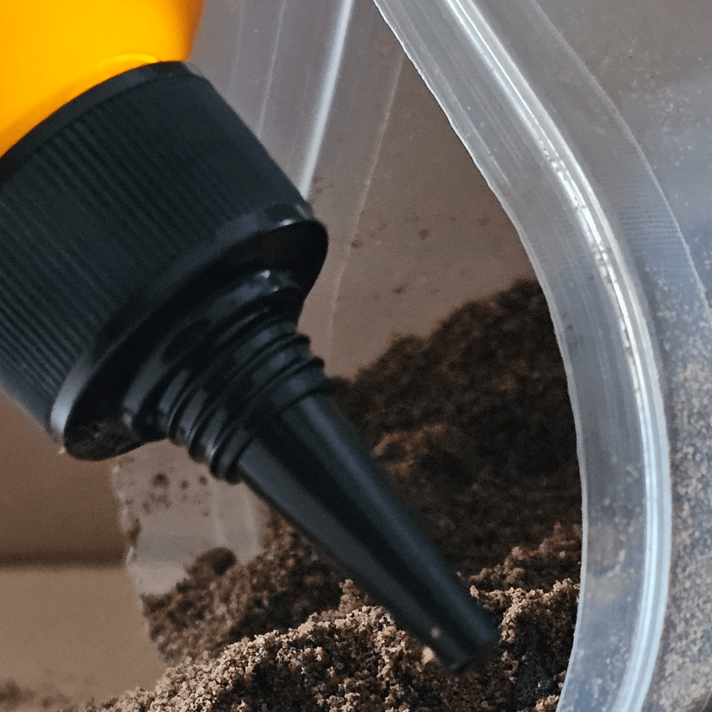 Hinders Blitz Oil