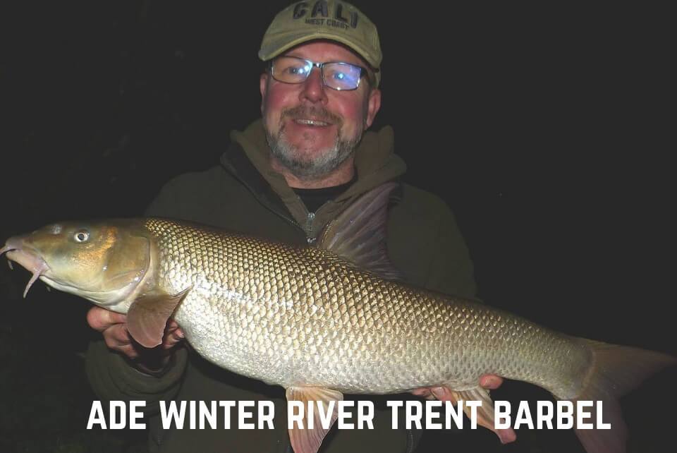 Ade River Trent Barbel caught on Barbel Bomb