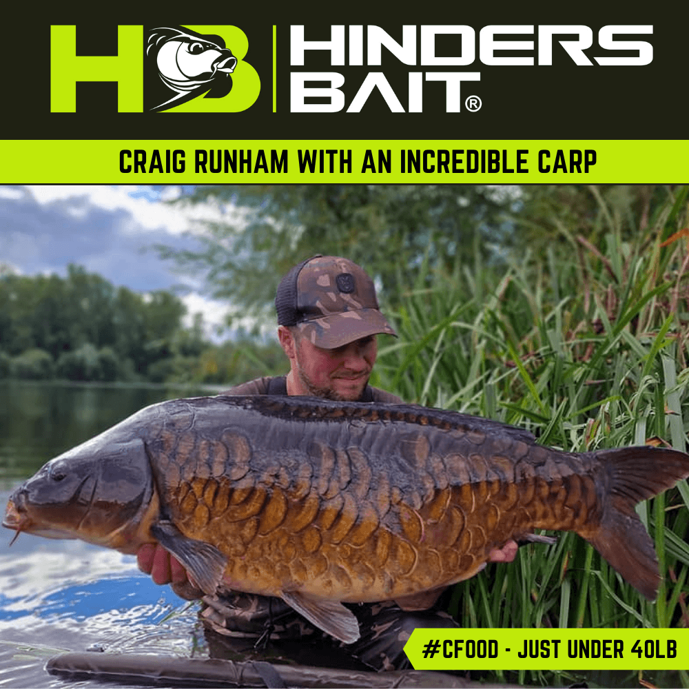 A Big Catch and a Great Taste of Carp for 10 Kg! The Most